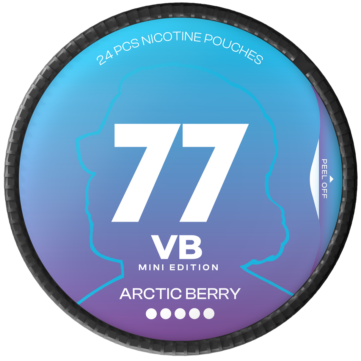 77 Ghost VB Arctic Berry Mini-Nikotinbeutel-Gigasnus.de