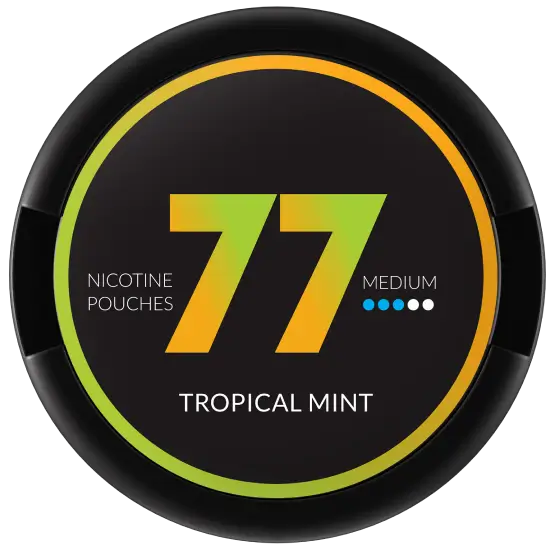 77 Tropical Mint-Nikotinbeutel-Gigasnus.de