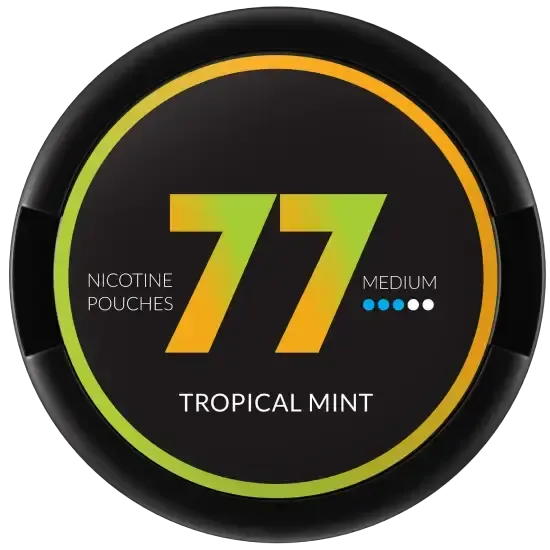 77 Tropical Mint-Nikotinbeutel-Gigasnus.de