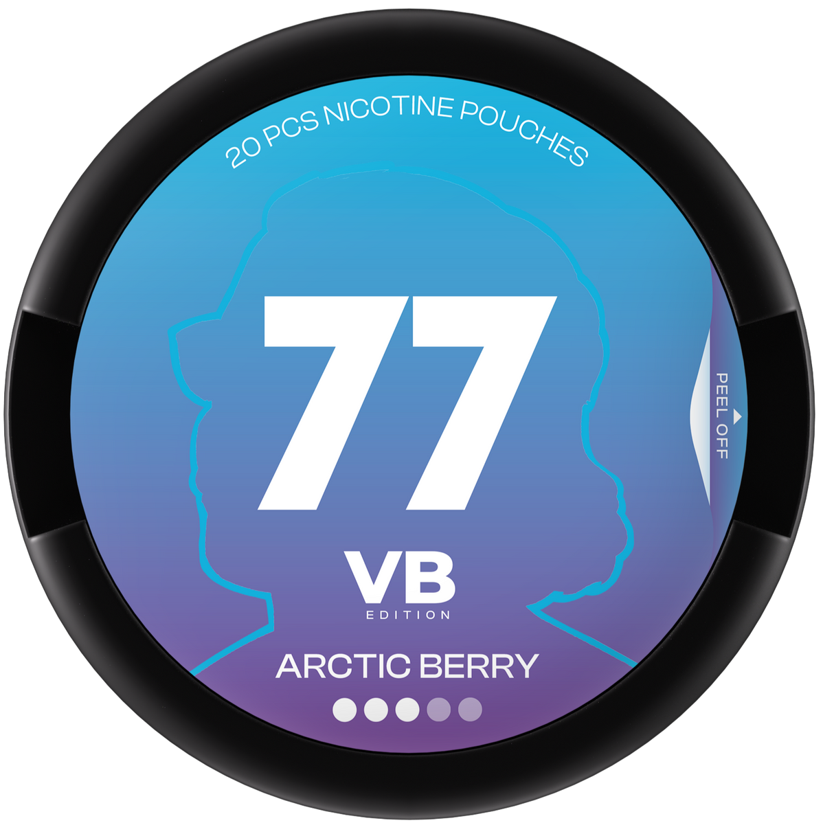 77 VB Arctic Berry-Nikotinbeutel-Gigasnus.de