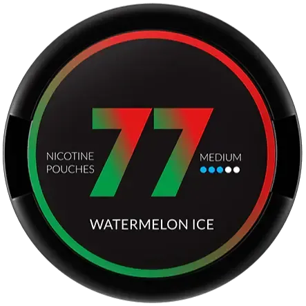77 Watermelon Ice-Nikotinbeutel-Gigasnus.de
