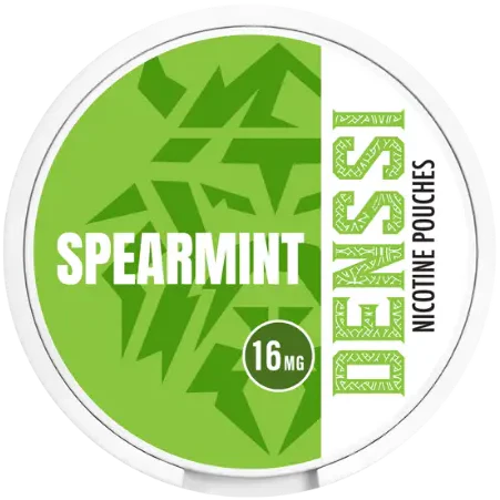 Denssi Spearmint-Nikotinbeutel-Gigasnus.de
