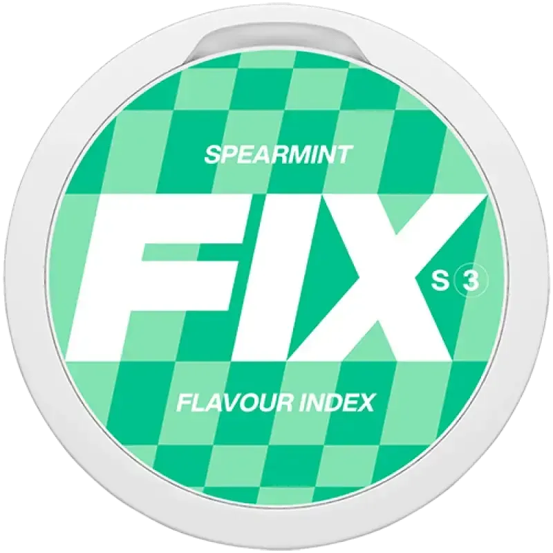 FIX Spearmint-Nikotinbeutel-Gigasnus.de