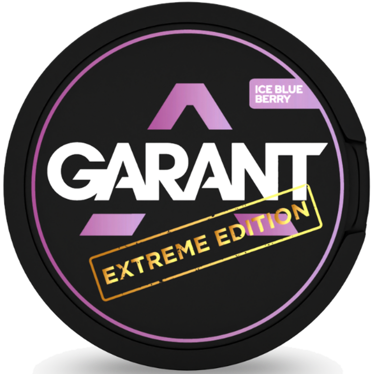 GARANT Ice Blueberry Extreme-Nicotine Pouches-DE