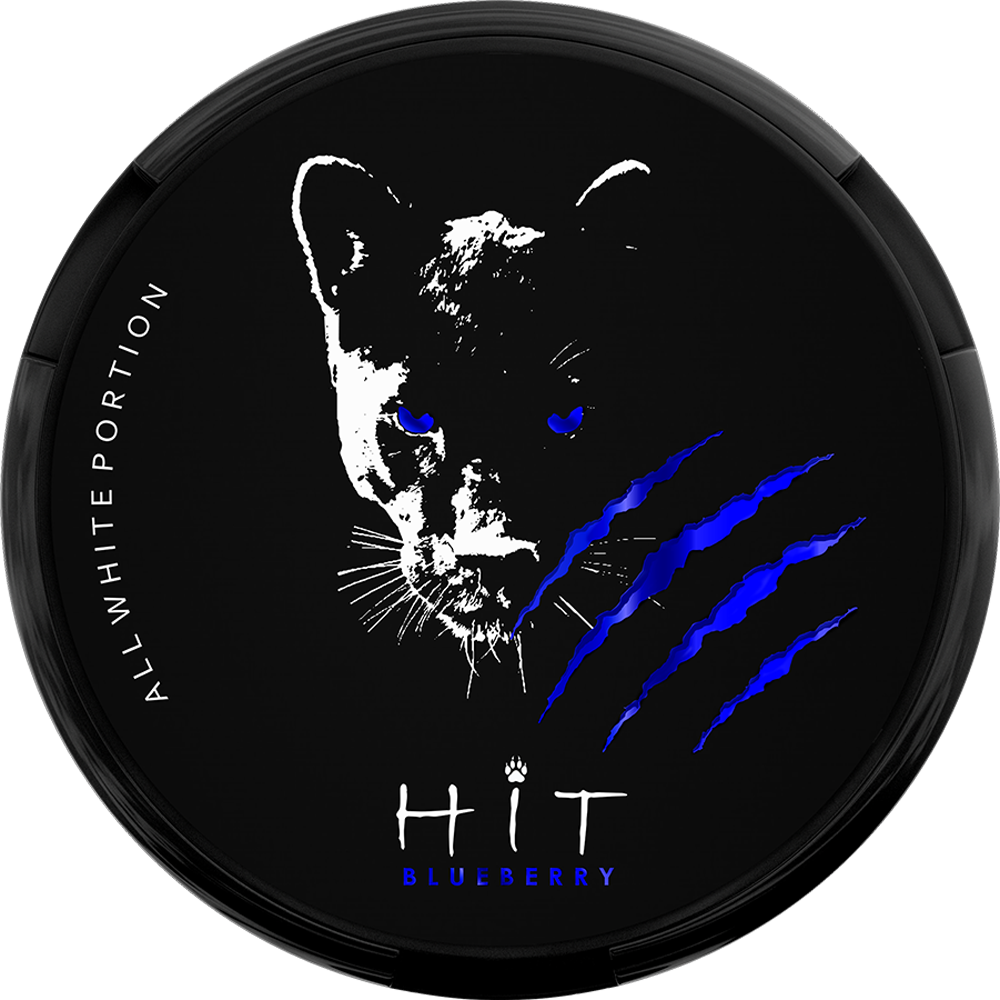 HiT Blueberry-Nikotinbeutel-Gigasnus.de