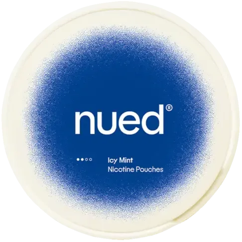 Nued Icy Mint-Nikotinbeutel-Gigasnus.de