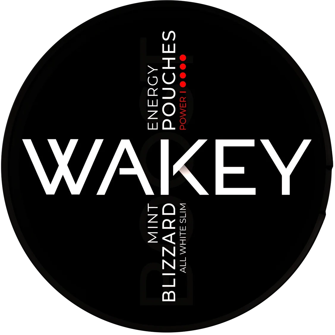 WAKEY Blizzard Mint 100 mg-Nikotinfreier Snus-Gigasnus.de