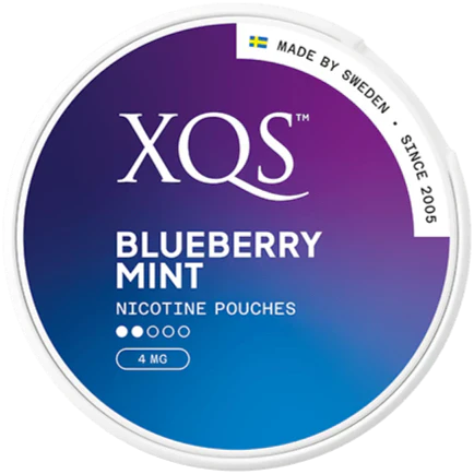 XQS Blueberry Mint Light-Nikotinbeutel-Gigasnus.de