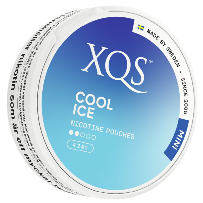 XQS Cool Ice Mini-Nikotinbeutel-Gigasnus.de