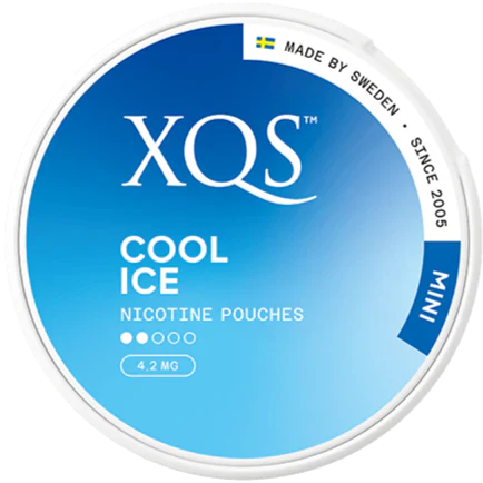 XQS Cool Ice Mini-Nikotinbeutel-Gigasnus.de