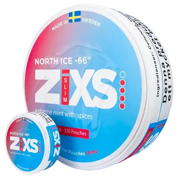 Z!xs North Ice Jumbo Can-Nikotinbeutel-Gigasnus.de
