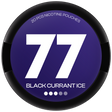 77 Black Currant-Nikotinbeutel-Gigasnus.de