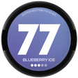 77 Blueberry Ice-Nikotinbeutel-Gigasnus.de