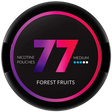 77 Forest Fruits-Nikotinbeutel-Gigasnus.de