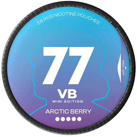 77 Ghost VB Arctic Berry Mini-Nikotinbeutel-Gigasnus.de