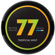 77 Tropical Mint-Nikotinbeutel-Gigasnus.de