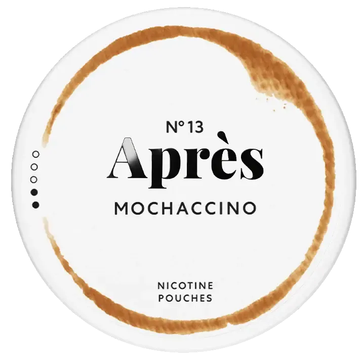 Après Mochaccino-Nikotinbeutel-Gigasnus.de