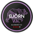 Björn Blueberry Ice-Nikotinbeutel-Gigasnus.de