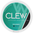 Clew Spearmint 5mg-Nikotinbeutel-Gigasnus.de