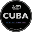 Cuba Black Black Currant - Bundle Gigasnus.de