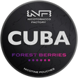 Cuba Black Forest Berries-Nikotinbeutel-Gigasnus.de