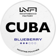 Cuba White Blueberry-Nikotinbeutel-Gigasnus.de