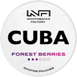 Cuba White Forest Berries-Nikotinbeutel-Gigasnus.de
