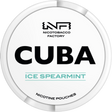 Cuba White Ice Spearmint - Bundle Gigasnus.de