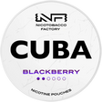Cuba White Low Blackberry-Nikotinbeutel-Gigasnus.de