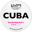Cuba White Raspberry-Nikotinbeutel-Gigasnus.de