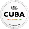 Cuba White Watermelon - Bundle Gigasnus.de