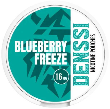 Denssi Blueberry Freeze-Nikotinbeutel-Gigasnus.de