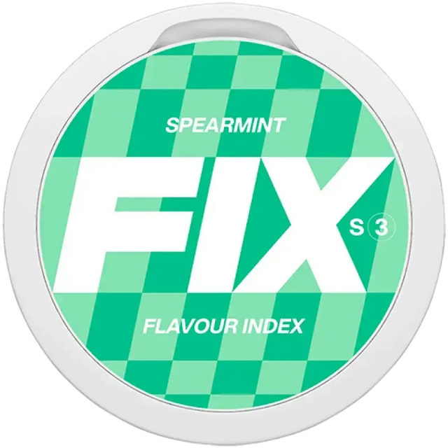 FIX Spearmint-Nikotinbeutel-Gigasnus.de