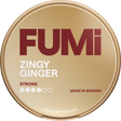FUMI Zingy Ginger Strong-Nikotinbeutel-Gigasnus.de