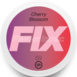 Fix Cherry Blossom-Nikotinbeutel-Gigasnus.de
