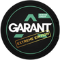 GARANT Extreme Edition Wintergreen-Nicotine Pouches-DE