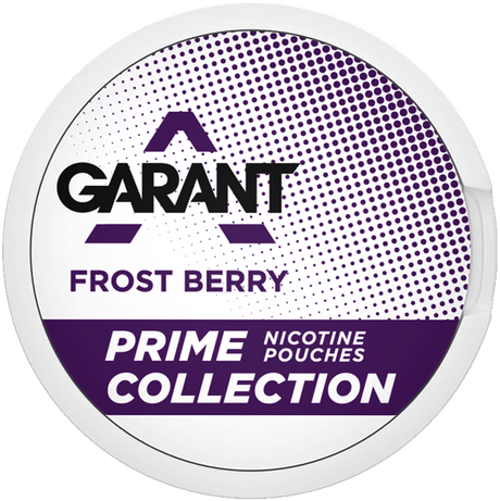 GARANT Prime Frost Berry-Nikotinbeutel-Gigasnus.de