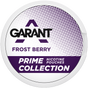GARANT Prime Frost Berry-Nikotinbeutel-Gigasnus.de