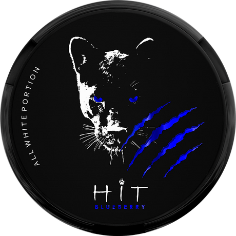 HiT Blueberry-Nikotinbeutel-Gigasnus.de