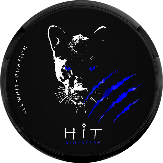HiT Blueberry-Nikotinbeutel-Gigasnus.de