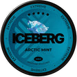 Iceberg Arctic Mint Mini