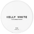 Kelly White Cucumber Mint Mini-Nikotinbeutel-Gigasnus.de