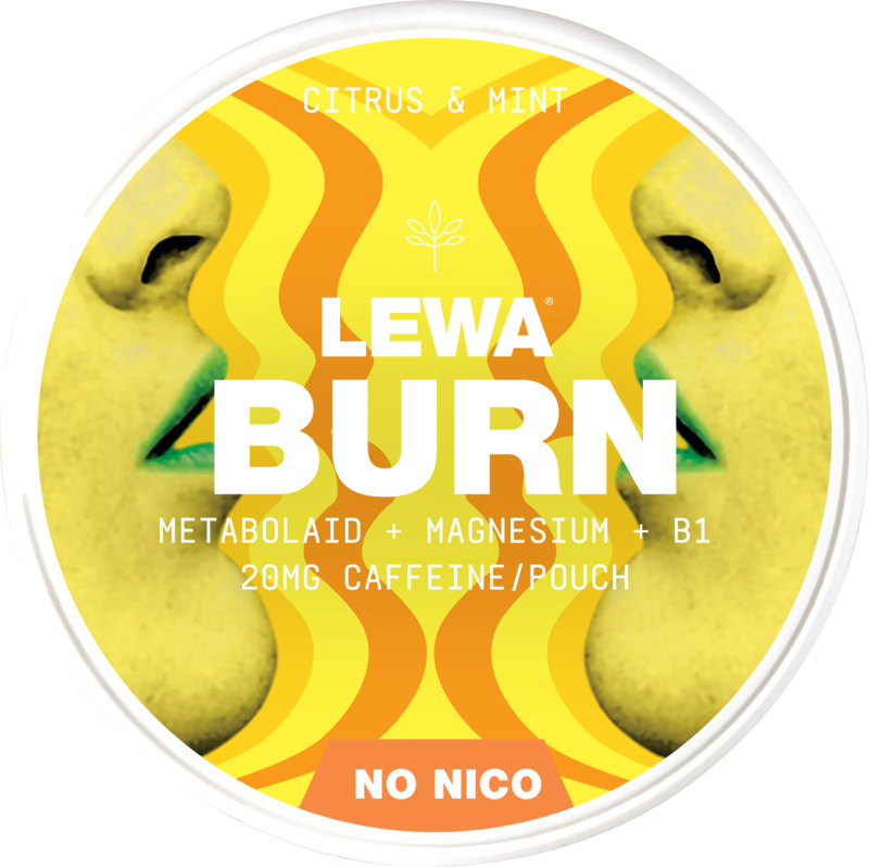Lewa Burn Citrus & Mint-Nikotinfreier Snus-Gigasnus.de