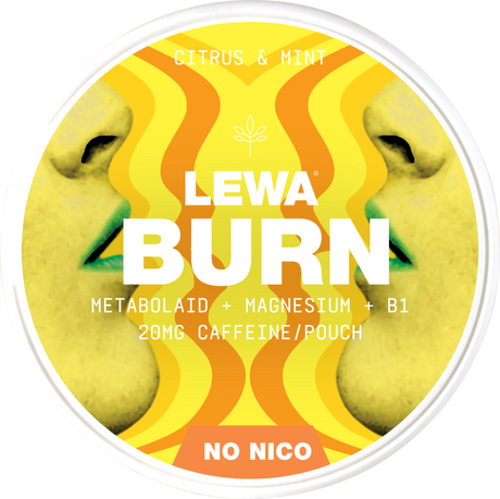Lewa Burn Citrus & Mint-Nikotinfreier Snus-Gigasnus.de