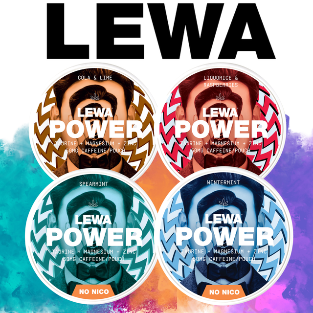 Lewa Mix-Pack-Gigasnus.de