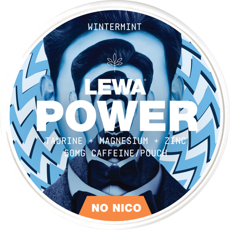 Lewa Power Wintermint-Nikotinfreier Snus-Gigasnus.de