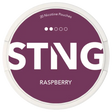 STNG Raspberry-Nikotinbeutel-Gigasnus.de