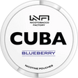 Cuba White Blueberry - Bundle Gigasnus.de