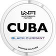 Cuba White Black Currant - Bundle Gigasnus.de
