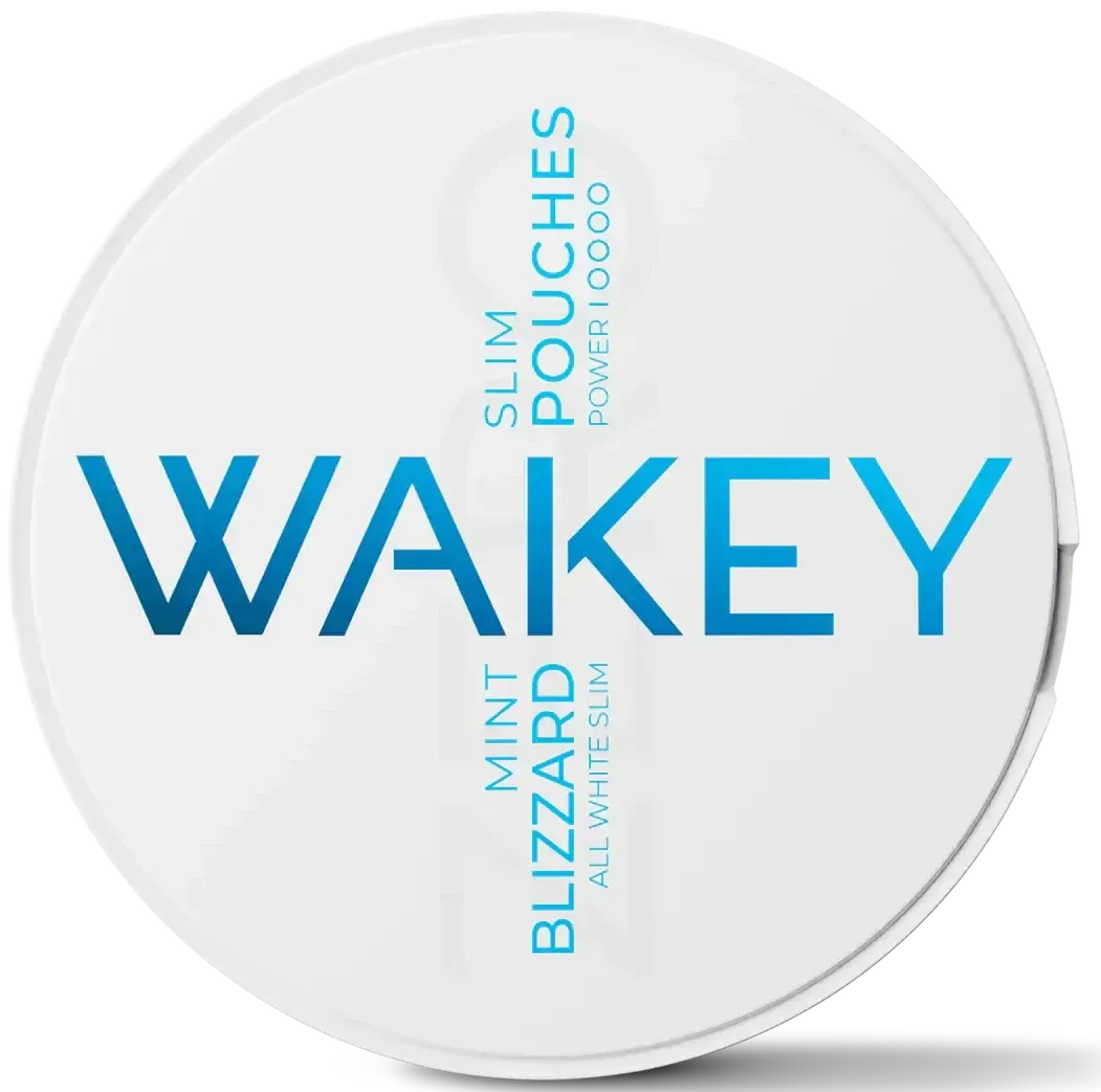 WAKEY Blizzard Mint 0 mg-Koffeinbeutel-Gigasnus.de